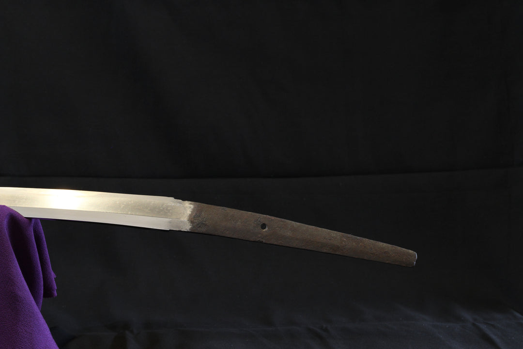 Tachi : Mumei (Attributed to the Ko-Naminohira)
